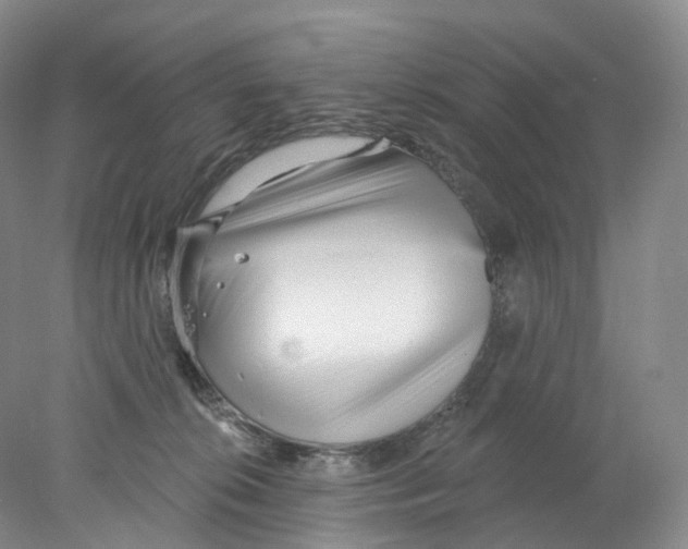 X0000077980276200611251353