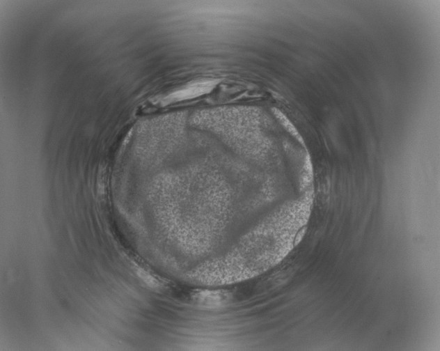 X0000077980277200611251353