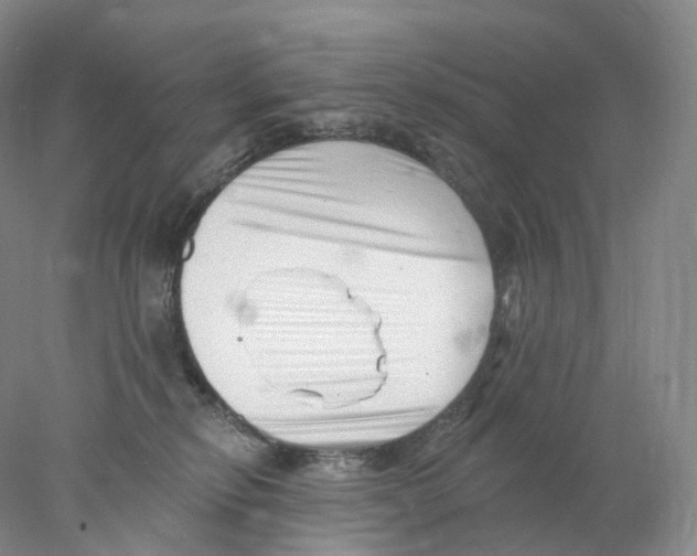 X0000077980278200611251353