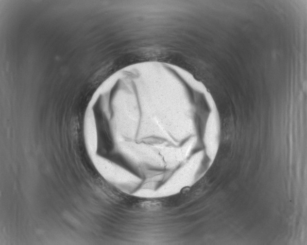 X0000077980279200611251353