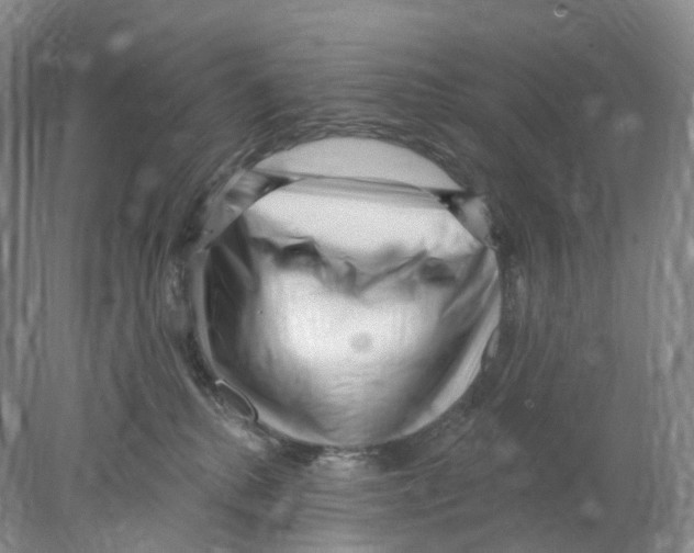 X0000077980280200611251353