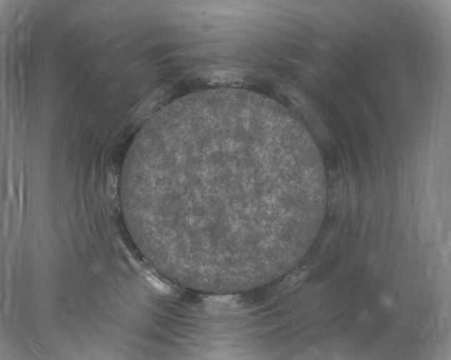 X0000077980281200611251353