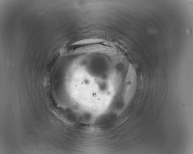 X0000077980284200611251353