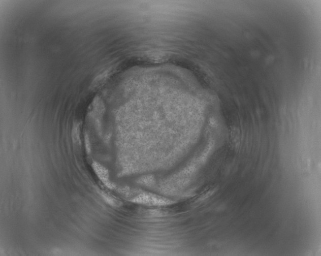 X0000077980286200611251353