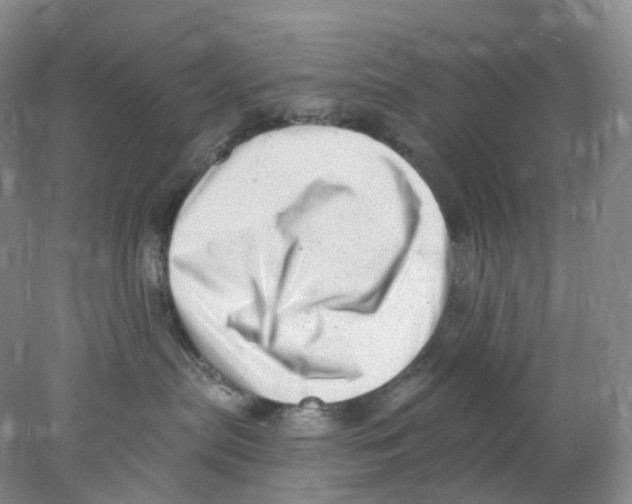 X0000077980287200611251353