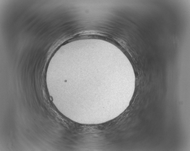 X0000077980289200611251352