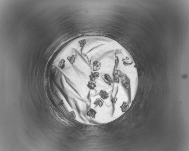 X0000077980290200611251352