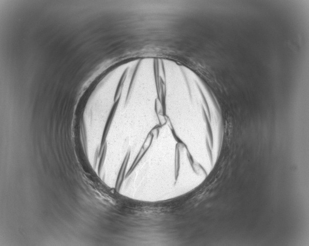 X0000077980292200611251352