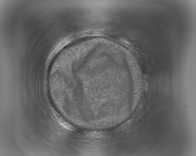 X0000077980293200611251352