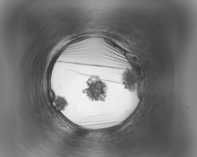 X0000077980294200611251352