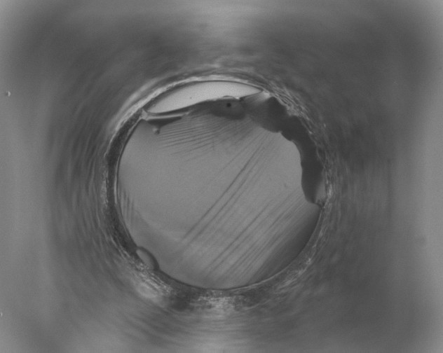 X0000077980295200611251352