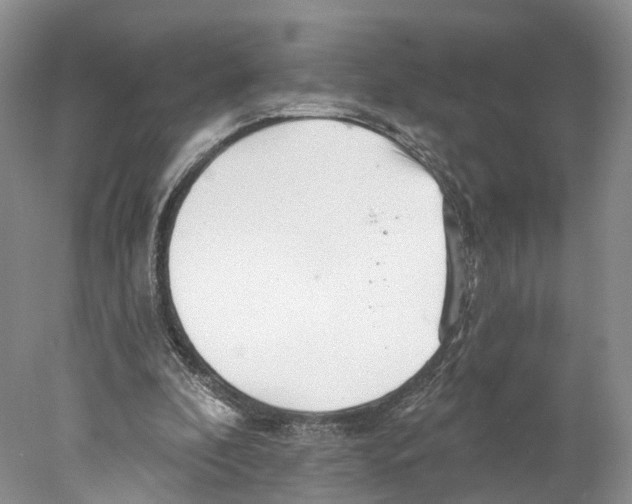 X0000077980296200611251352