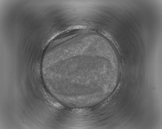 X0000077980297200611251352