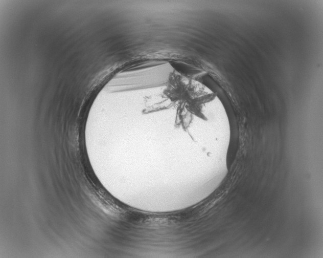 X0000077980298200611251352