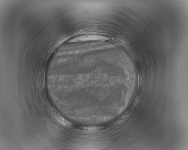 X0000077980301200611251352