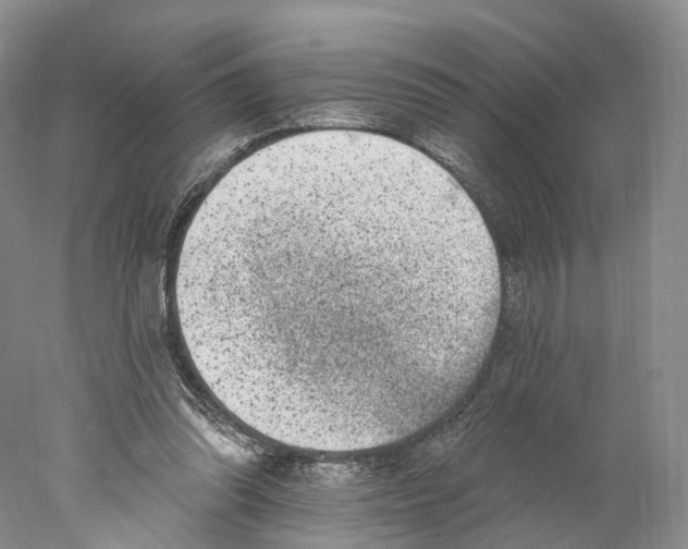 X0000077980302200611251352