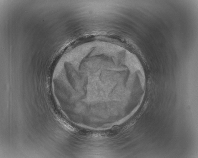 X0000077980305200611251352