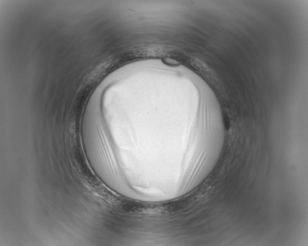 X0000077980306200611251352