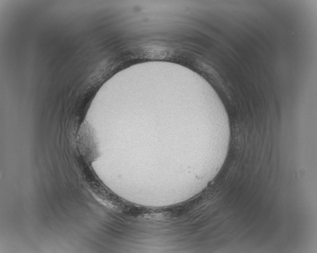 X0000077980307200611251352