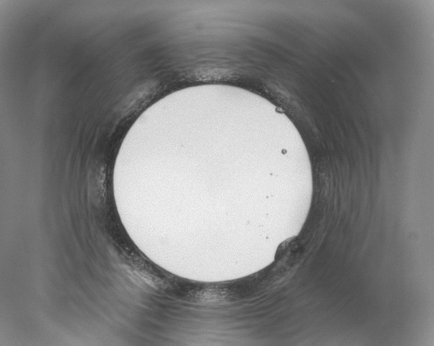 X0000077980308200611251352