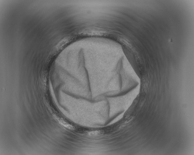 X0000077980309200611251352