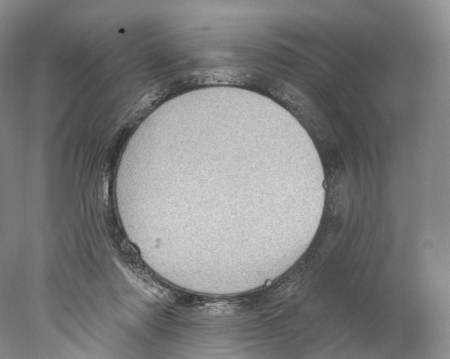 X0000077980310200611251352