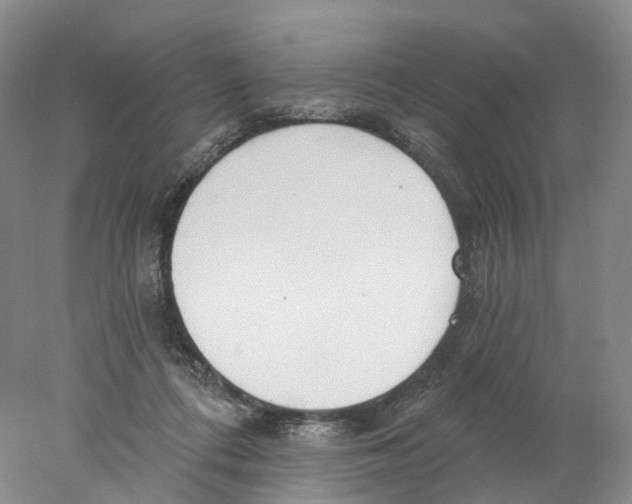 X0000077980312200611251352