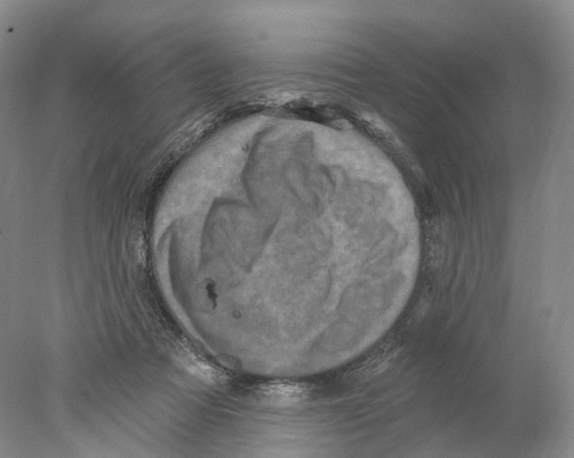 X0000077980313200611251352