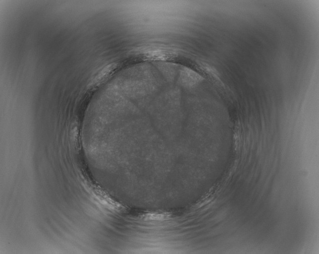 X0000077980314200611251352