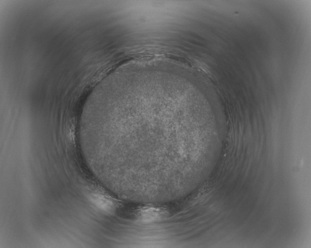 X0000077980315200611251352