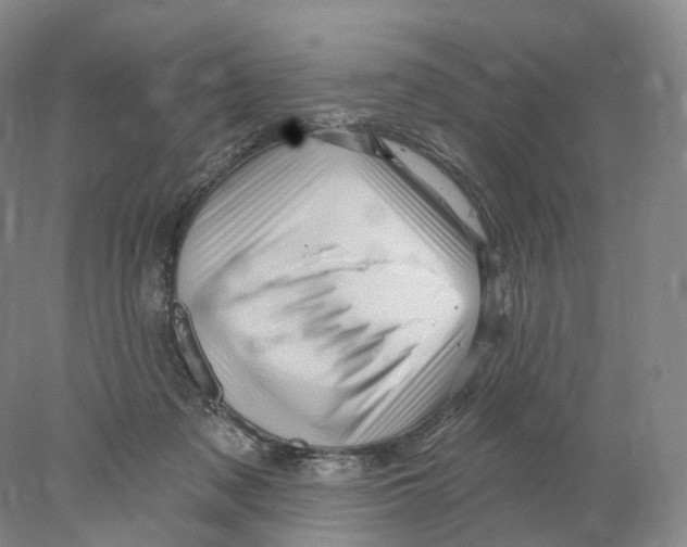 X0000077980317200611251352