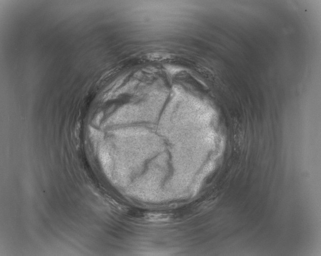 X0000077980319200611251352