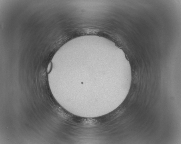 X0000077980321200611251352