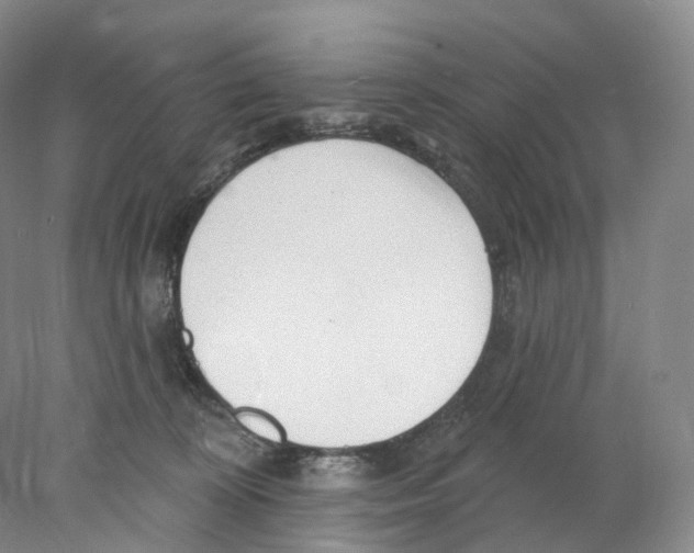 X0000077980324200611251352