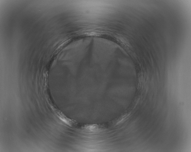 X0000077980325200611251352