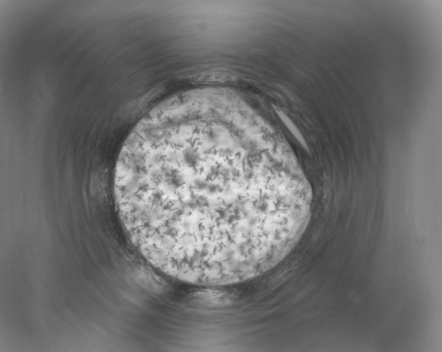 X0000077980326200611251352