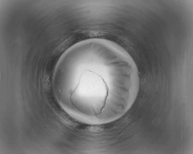 X0000077980327200611251352