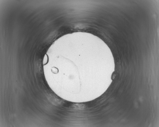 X0000077980328200611251352