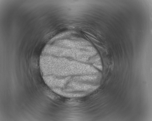 X0000077980331200611251352