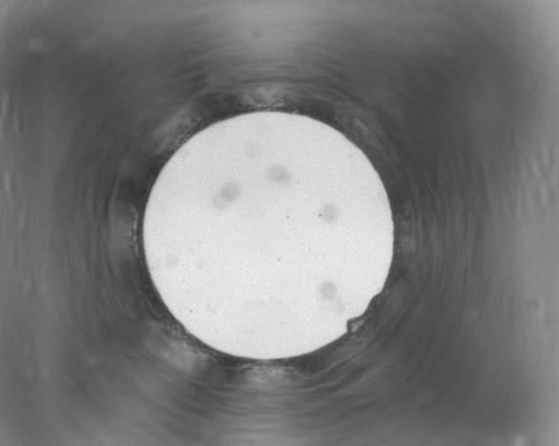 X0000077980332200611251352