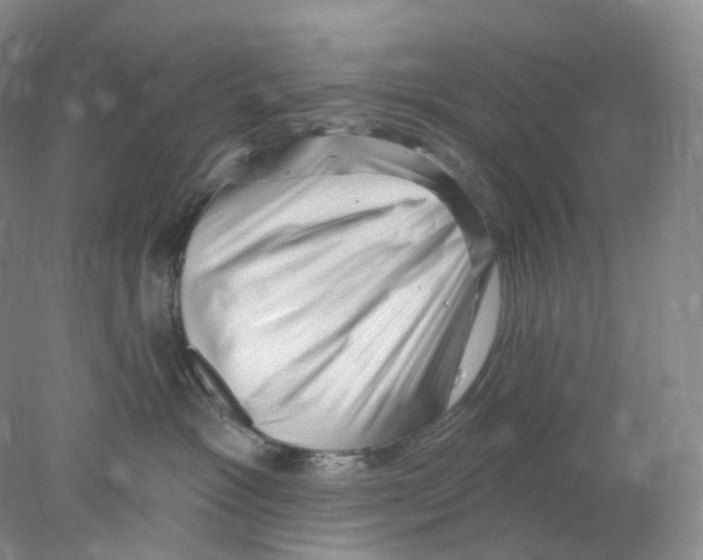 X0000077980333200611251352