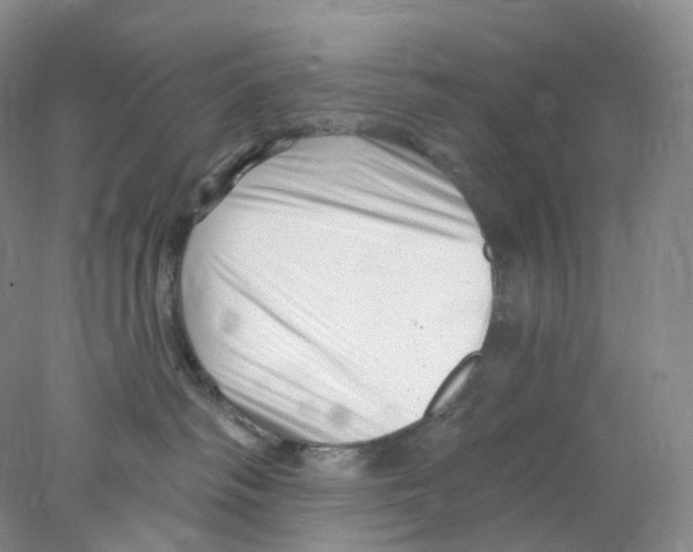 X0000077980334200611251352