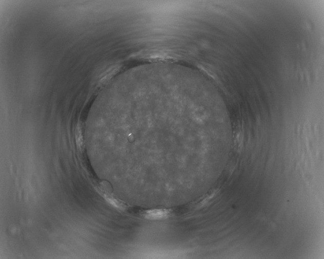 X0000077980335200611251352