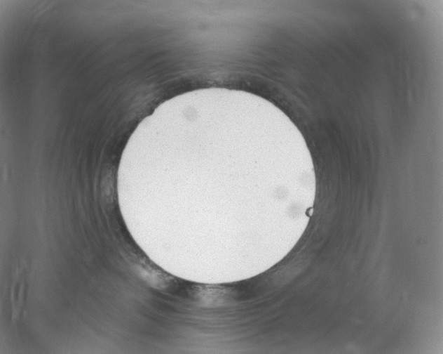 X0000077980336200611251352