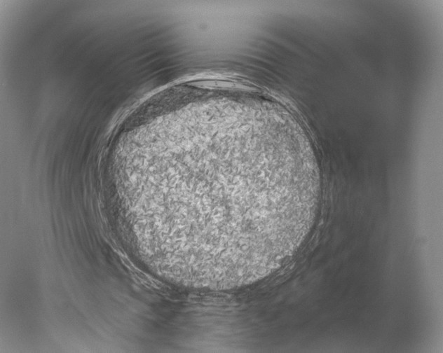 X0000077980337200611251351