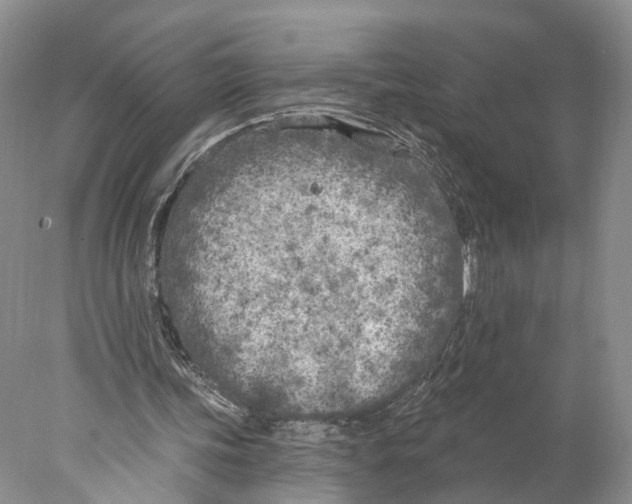 X0000077980339200611251351