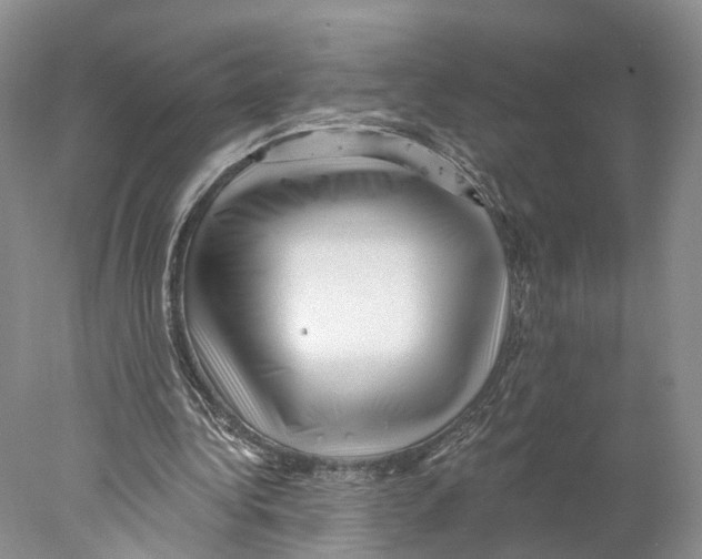 X0000077980340200611251351