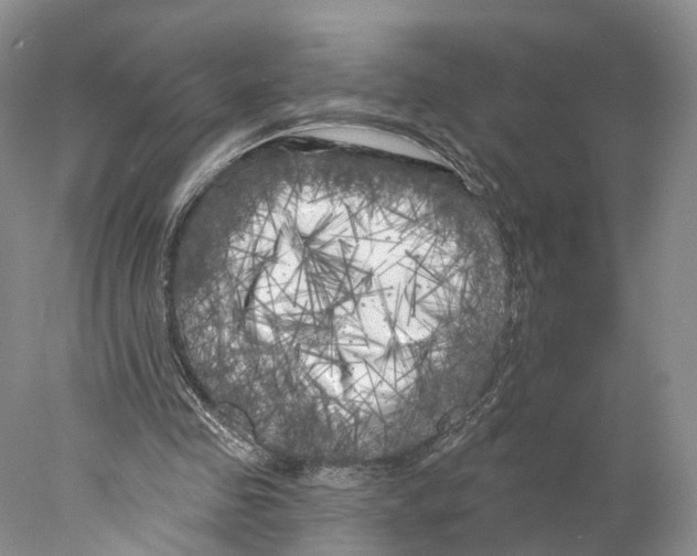 X0000077980341200611251351