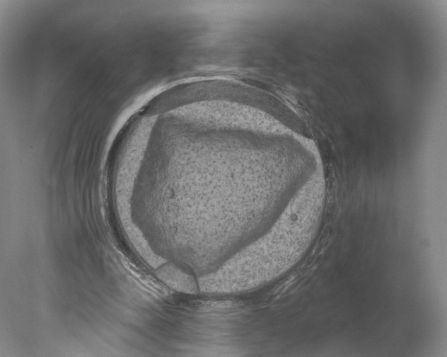 X0000077980342200611251351