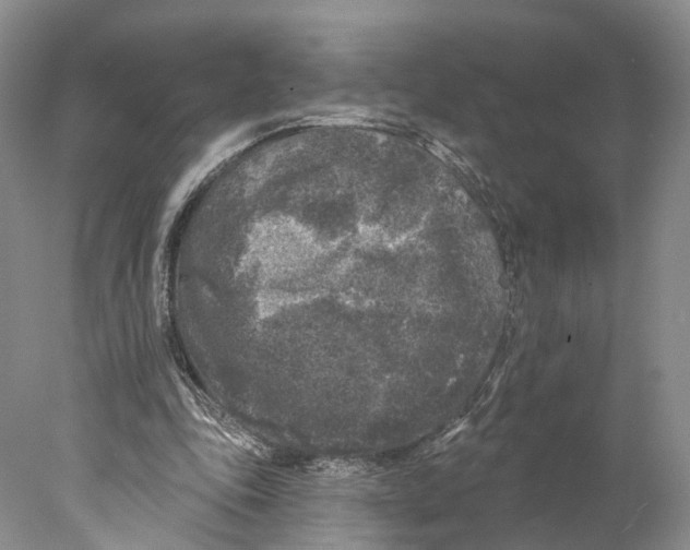 X0000077980343200611251351